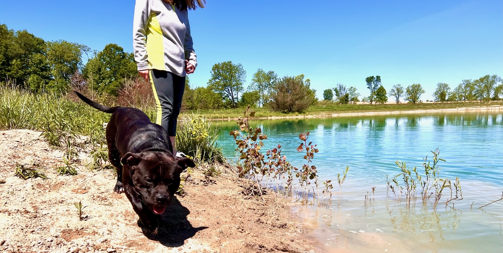 DogWatch by K9 Keeper Fencing LLC, Hastings, Michigan | K9 Keeper Off Leash Training Slider Image